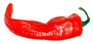1280px-Large_Cayenne (1)